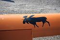 IMG_1894